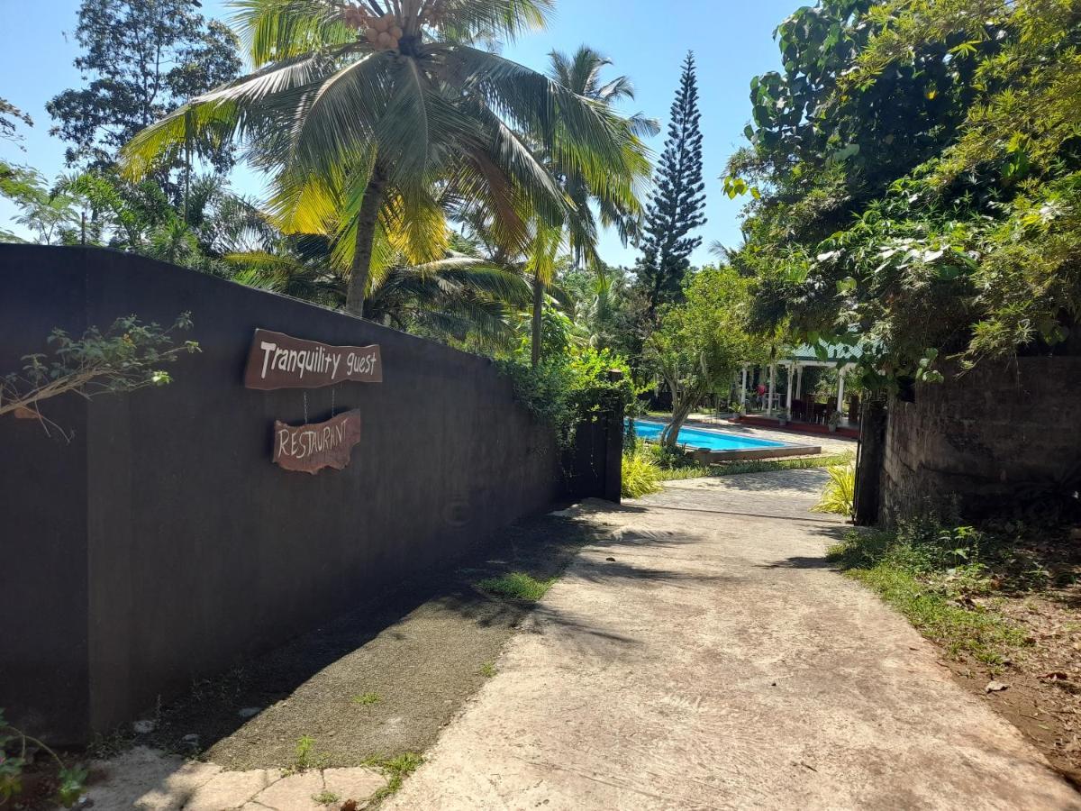Tranquility Guest House Hikkaduwa Eksteriør bilde