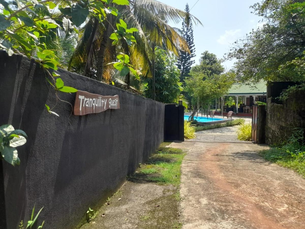 Tranquility Guest House Hikkaduwa Eksteriør bilde