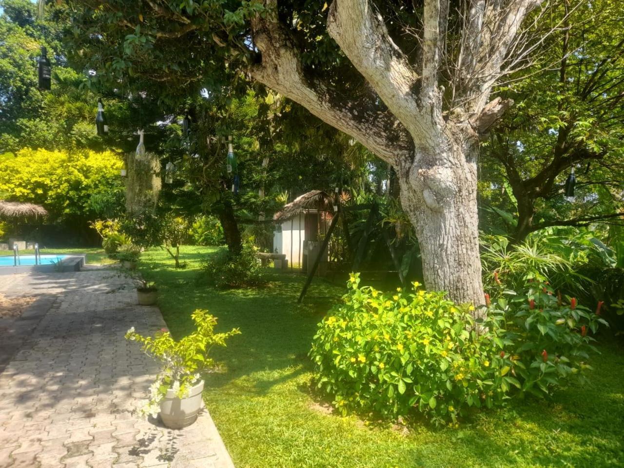 Tranquility Guest House Hikkaduwa Eksteriør bilde
