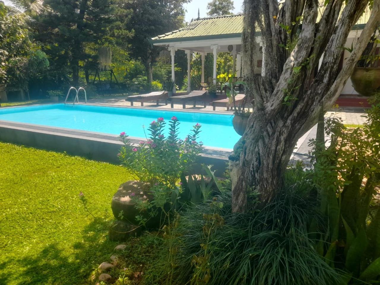Tranquility Guest House Hikkaduwa Eksteriør bilde