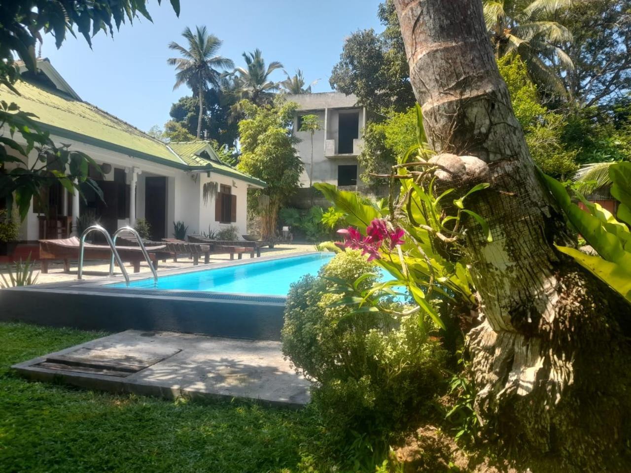 Tranquility Guest House Hikkaduwa Eksteriør bilde