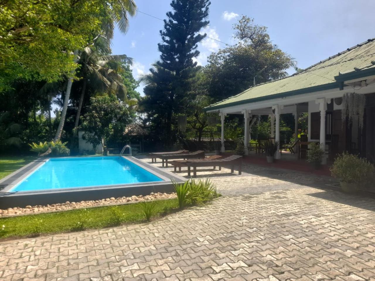 Tranquility Guest House Hikkaduwa Eksteriør bilde