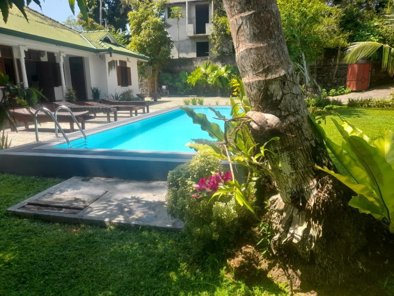 Tranquility Guest House Hikkaduwa Eksteriør bilde