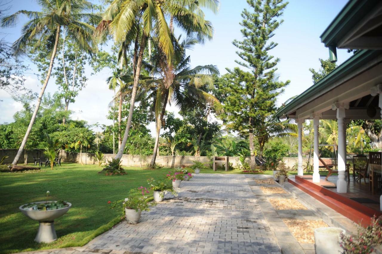 Tranquility Guest House Hikkaduwa Eksteriør bilde